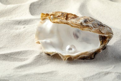 Photo of Open oyster with white pearl on sand