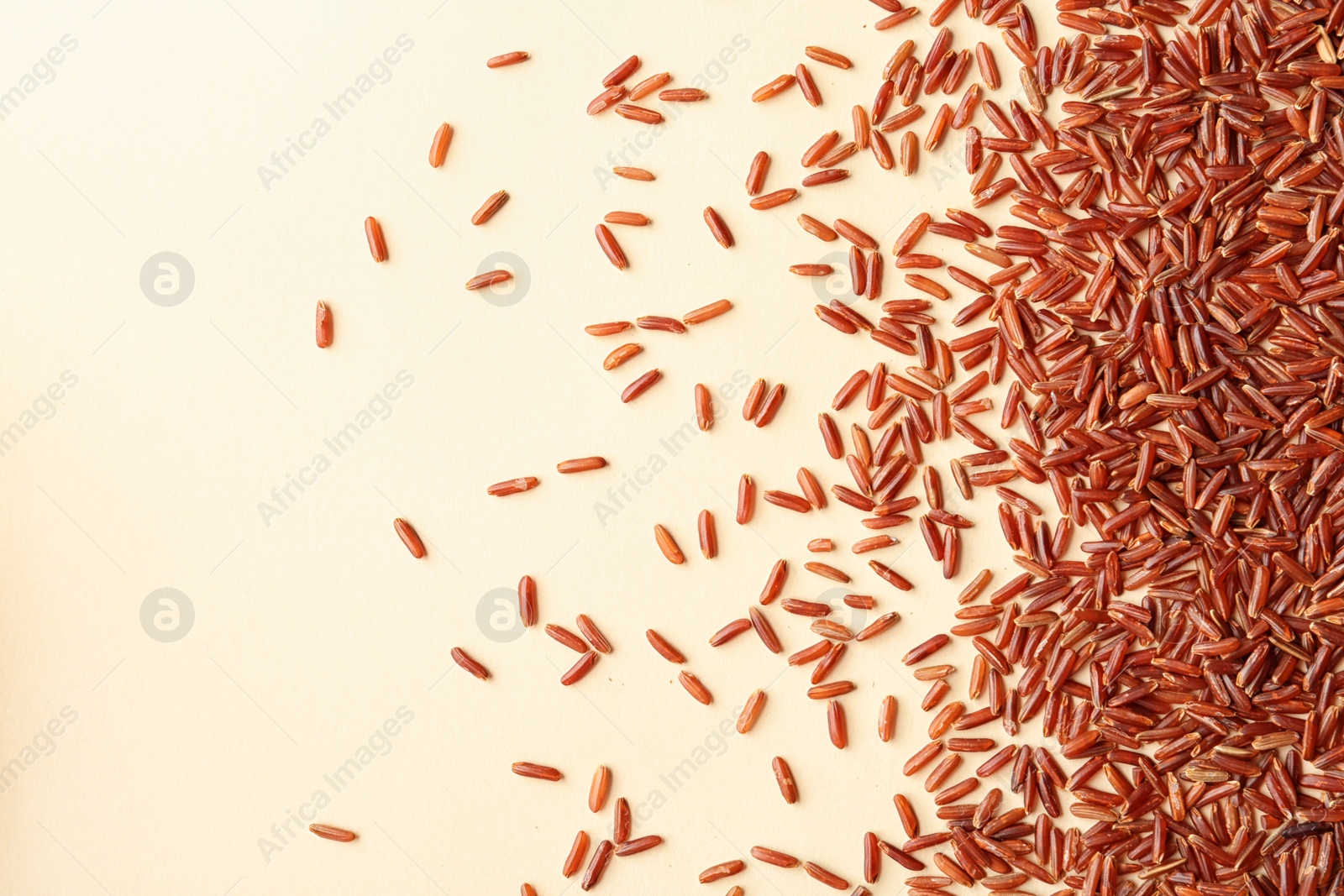 Photo of Brown rice on color background, top view with space for text