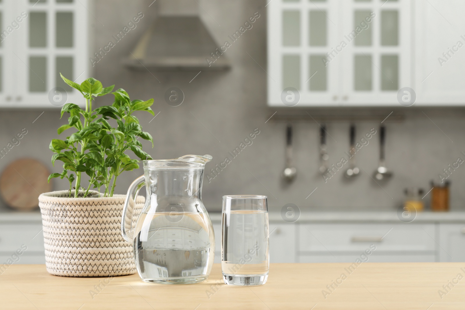 Photo of Beautiful potted basil and glass jug with water on wooden table in kitchen. Space for text