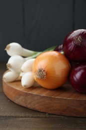 Photo of Board with different kinds of onions on wooden table, closeup