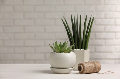 Beautiful potted succulent plants on white wooden table. Space for text