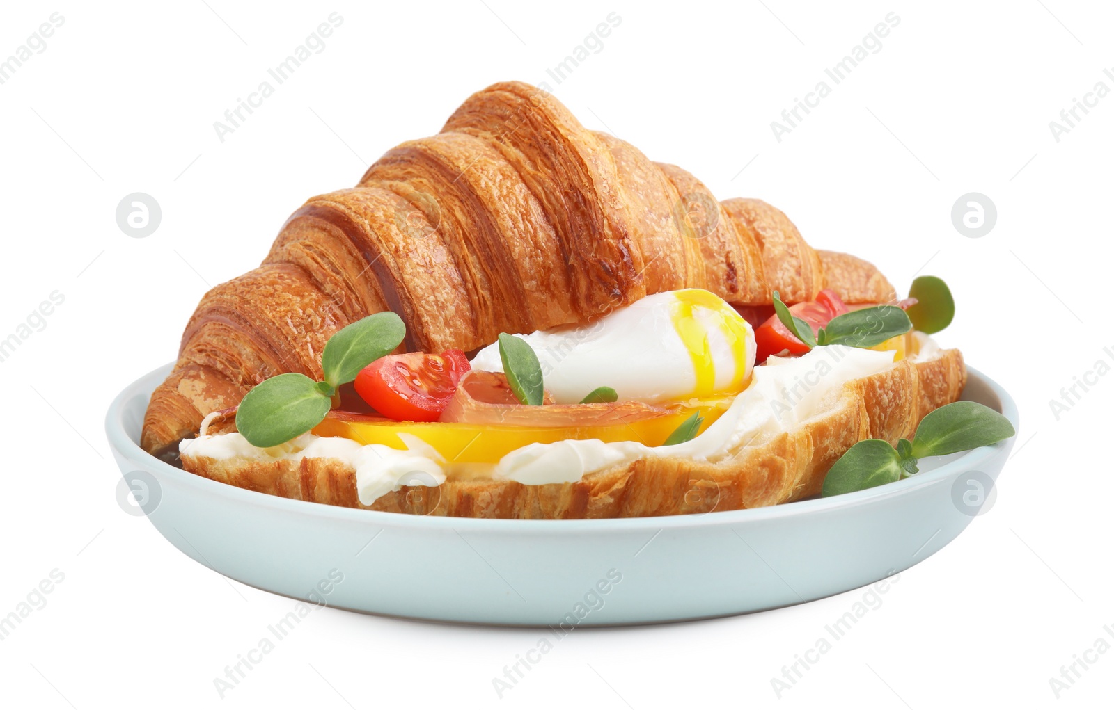 Photo of Tasty croissant with fried egg, tomato and microgreens isolated on white