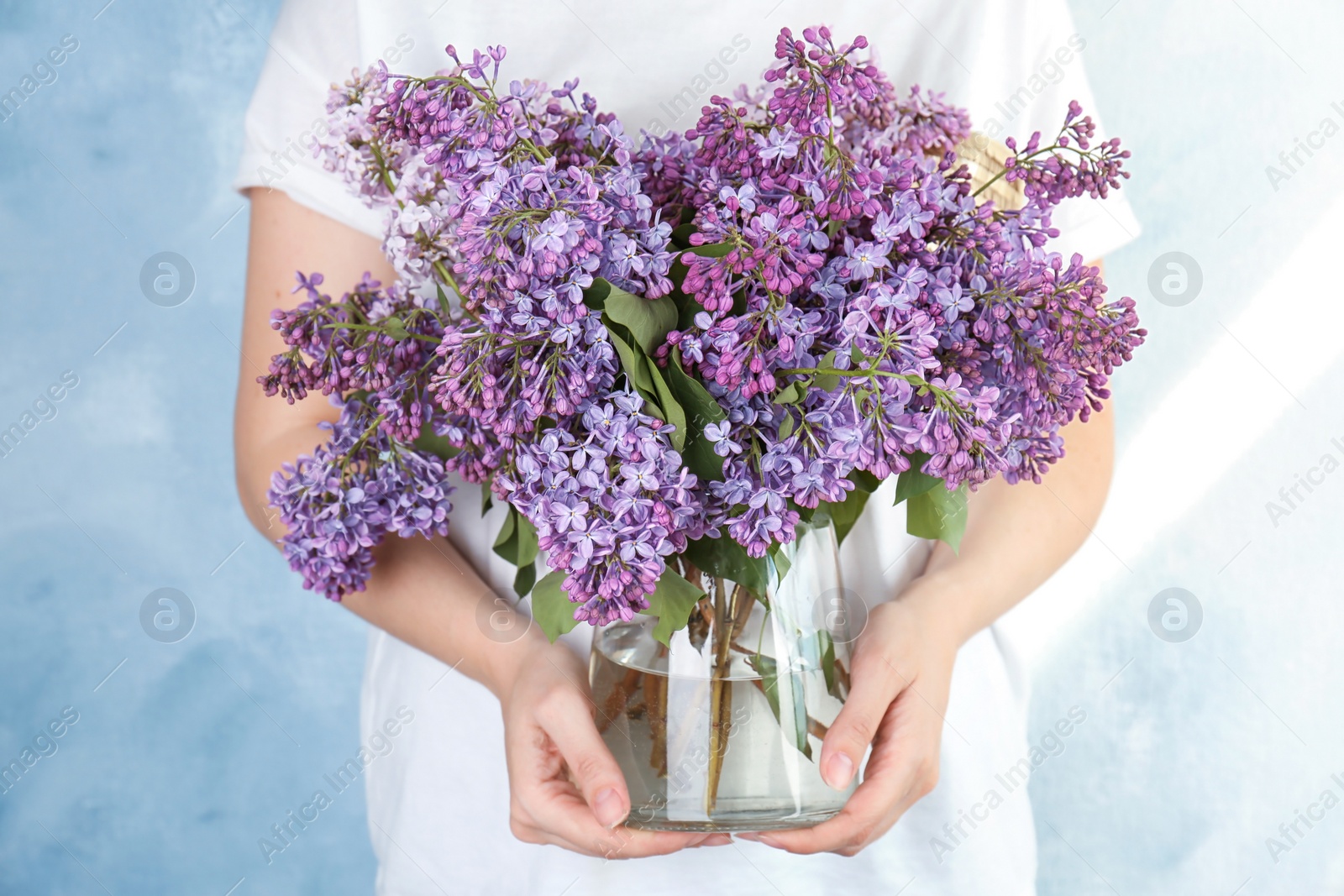 Photo of Young woman holding vase with beautiful blossoming lilac on color background. Spring flowers