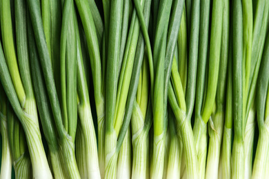 Fresh green spring onions as background, top view