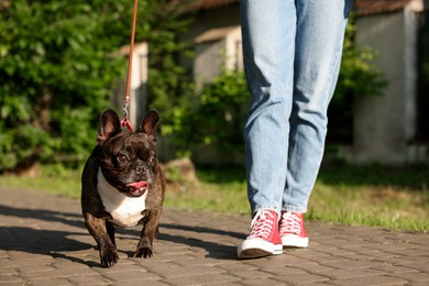 Photo of Woman walking with cute French Bulldog outdoors, closeup