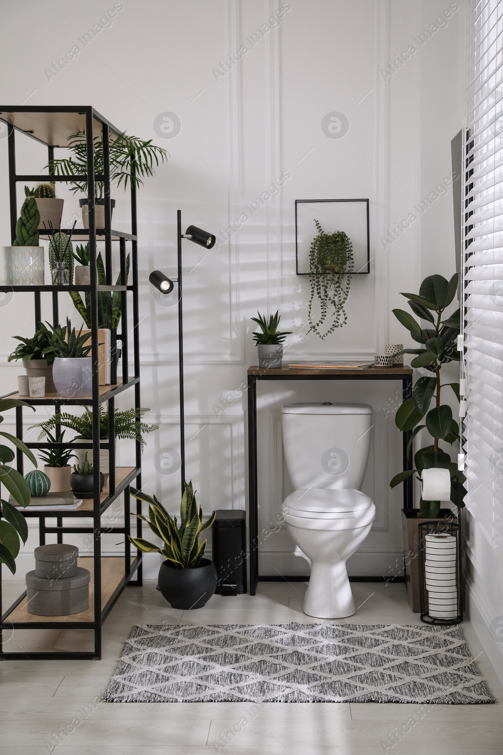 Photo of Stylish bathroom interior with toilet bowl and many beautiful houseplants