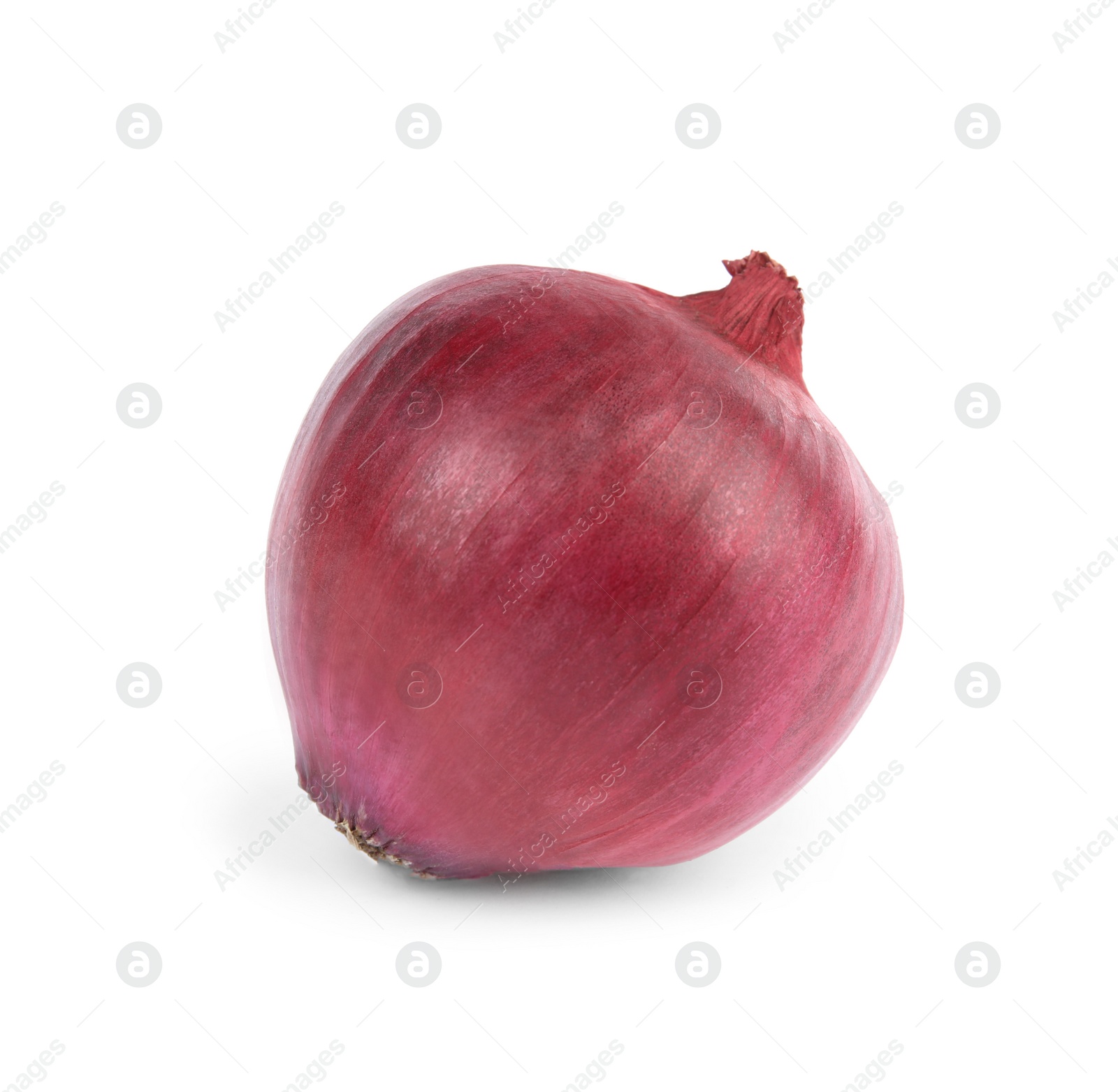 Photo of Fresh whole red onion on white background