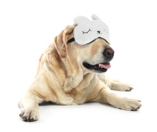 Cute Labrador Retriever with sleep mask resting on white background