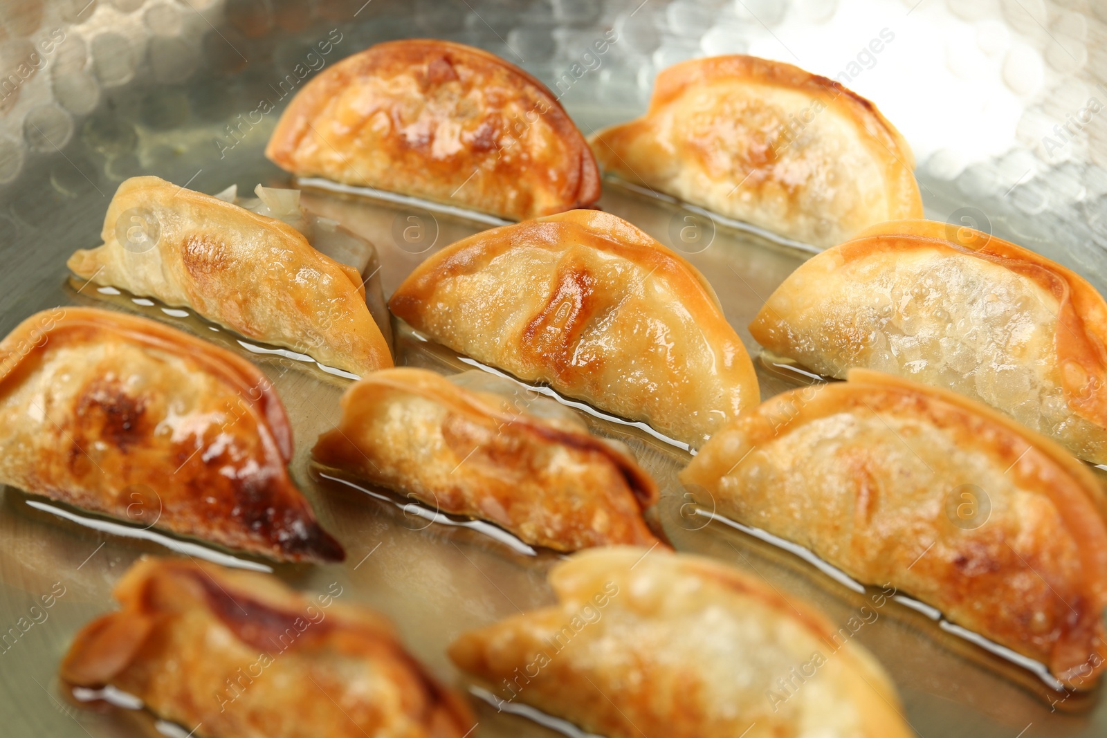 Photo of Cooking gyoza on frying pan with hot oil, closeup