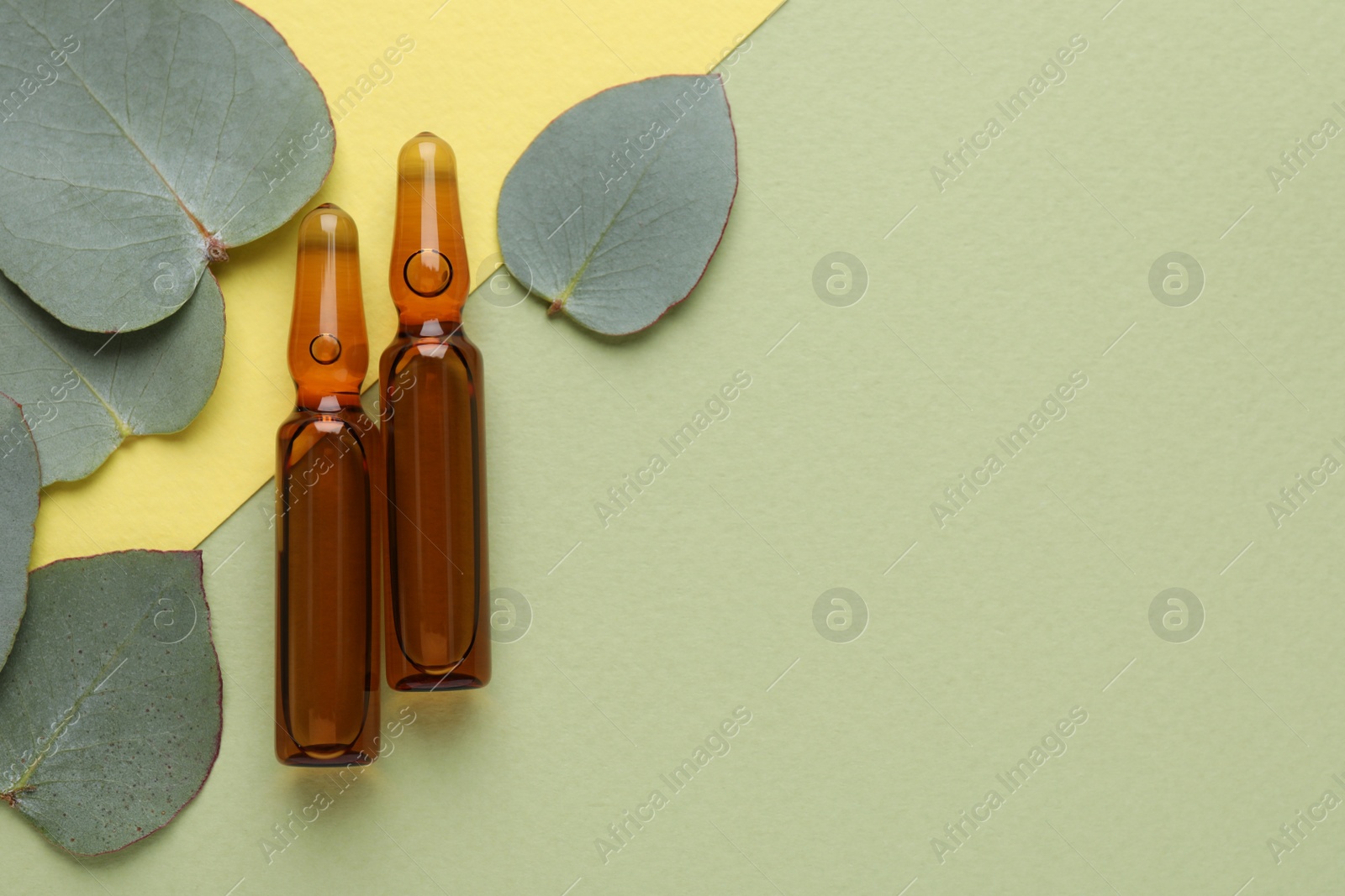 Photo of Pharmaceutical ampoules with medication and eucalyptus leaves on color background, flat lay. Space for text