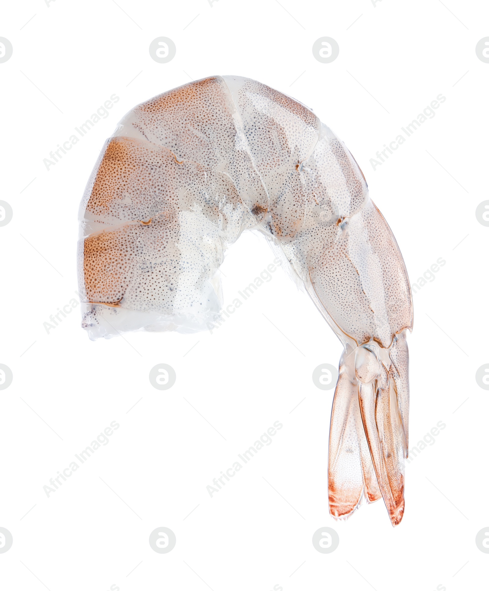 Photo of Fresh raw shrimp isolated on white. Healthy seafood