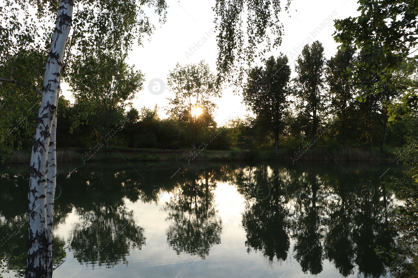 Photo of Picturesque view of lake at sunrise. Morning landscape