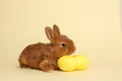 Adorable fluffy bunny near Easter eggs on yellow background