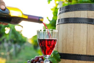 Photo of Man pouring wine from bottle into glass in vineyard, closeup