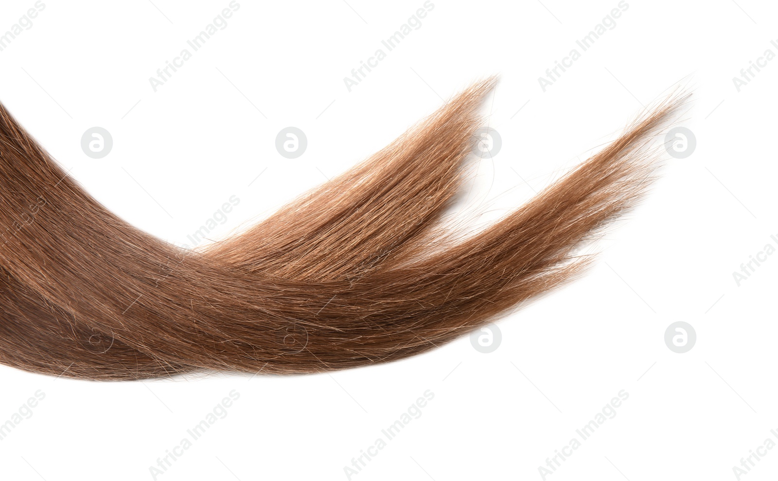 Photo of Locks of healthy brown hair on white background