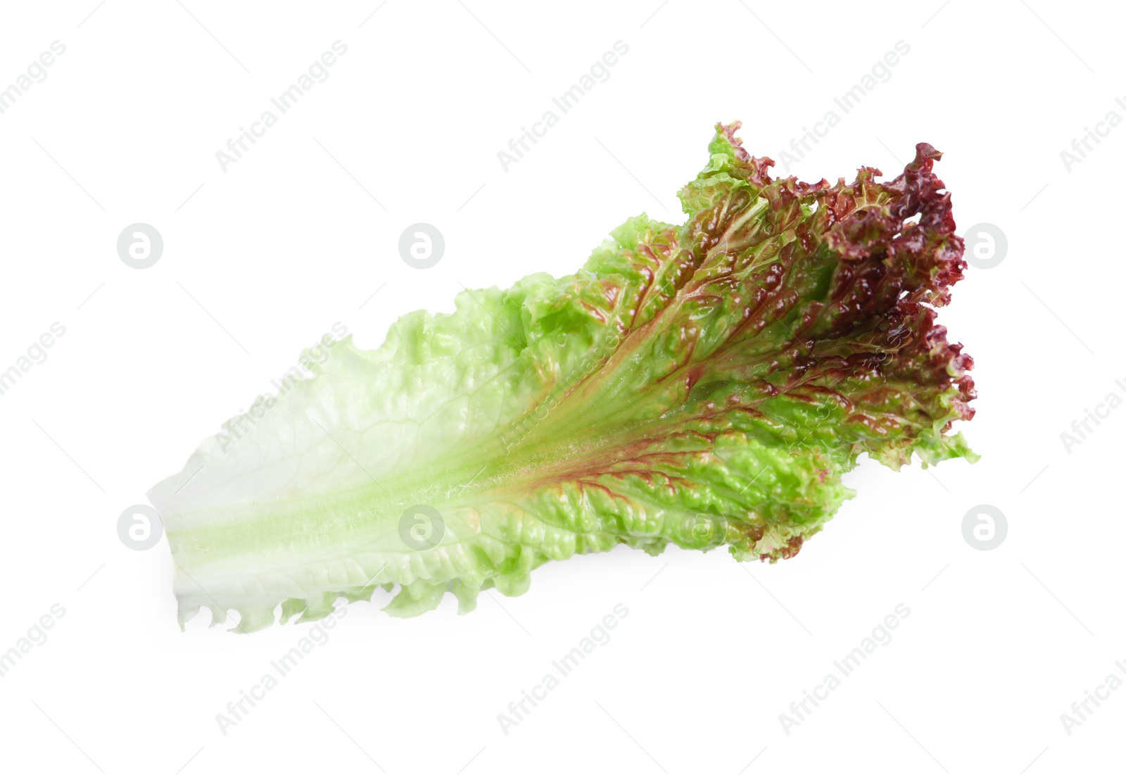 Photo of Leaf of fresh red coral lettuce isolated on white, top view