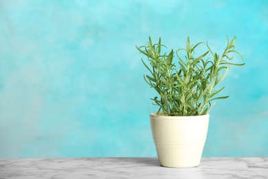 Photo of Pot with fresh rosemary on table against color background