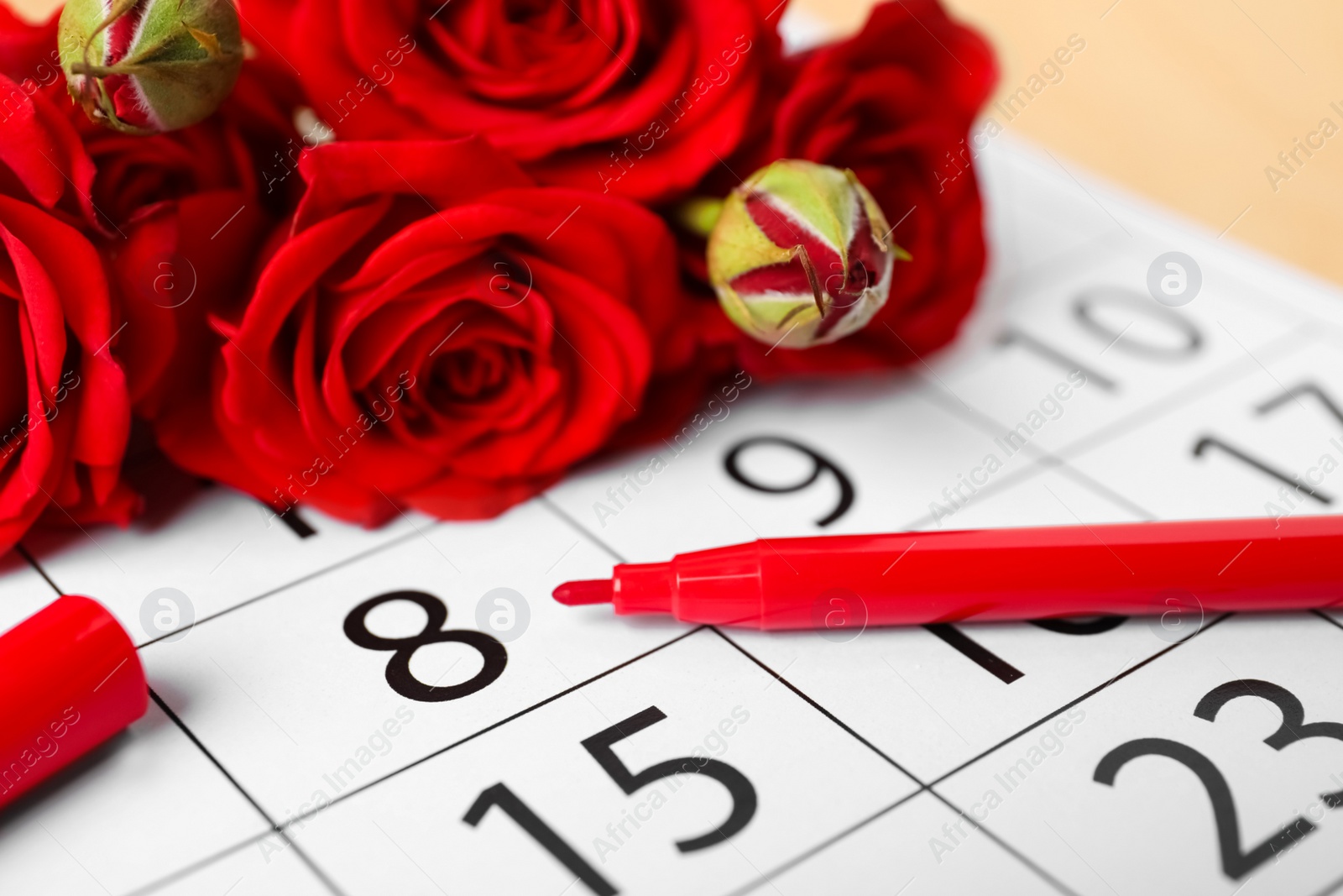 Photo of Roses and red marker on calendar near date 8th of March, closeup. International Women's Day