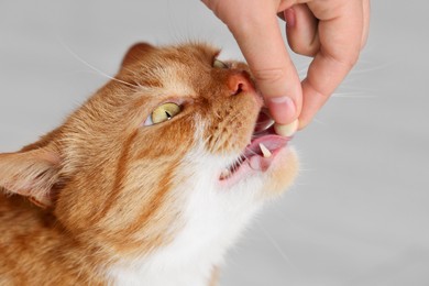 Woman giving vitamin pill to cute cat indoors, closeup