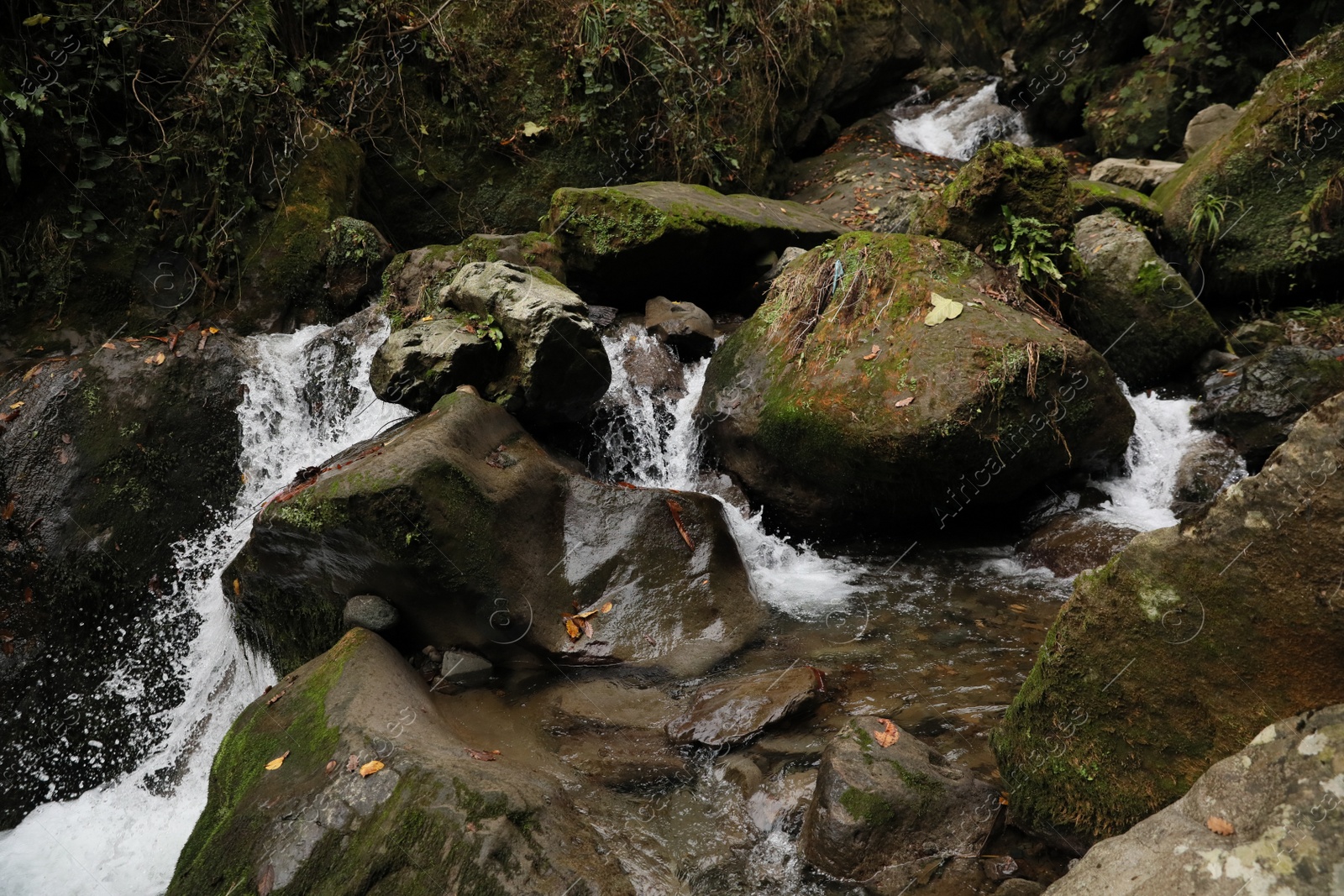 Photo of Beautiful view of mountain stream, rocks and green plants