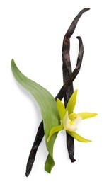 Vanilla pods, beautiful flower and green leaf isolated on white