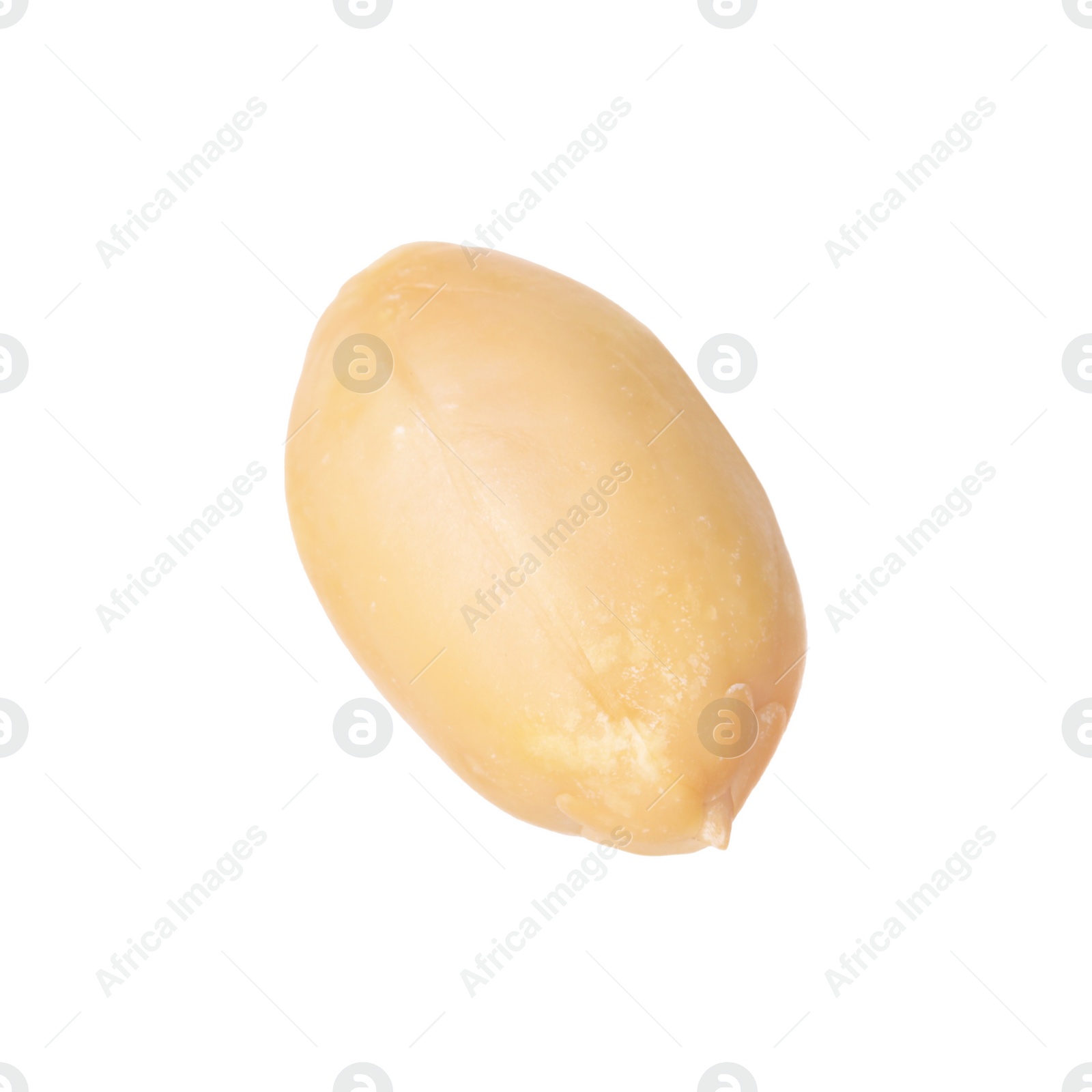 Photo of One fresh peeled peanut isolated on white