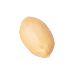 One fresh peeled peanut isolated on white