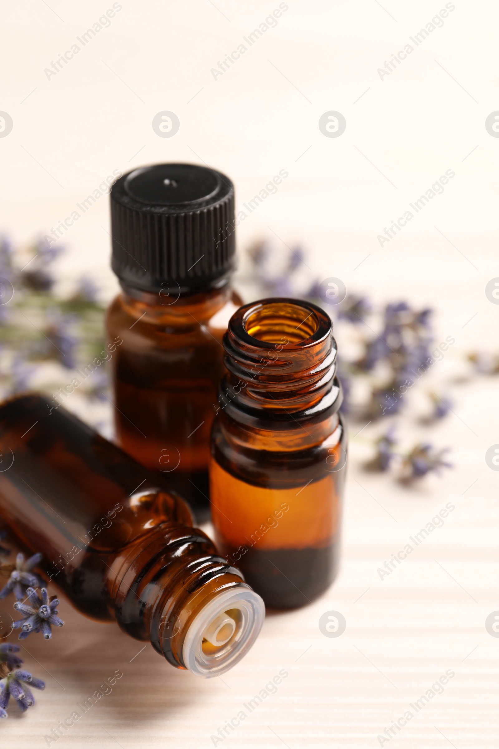 Photo of Essential oil and lavender flowers on white wooden table, closeup