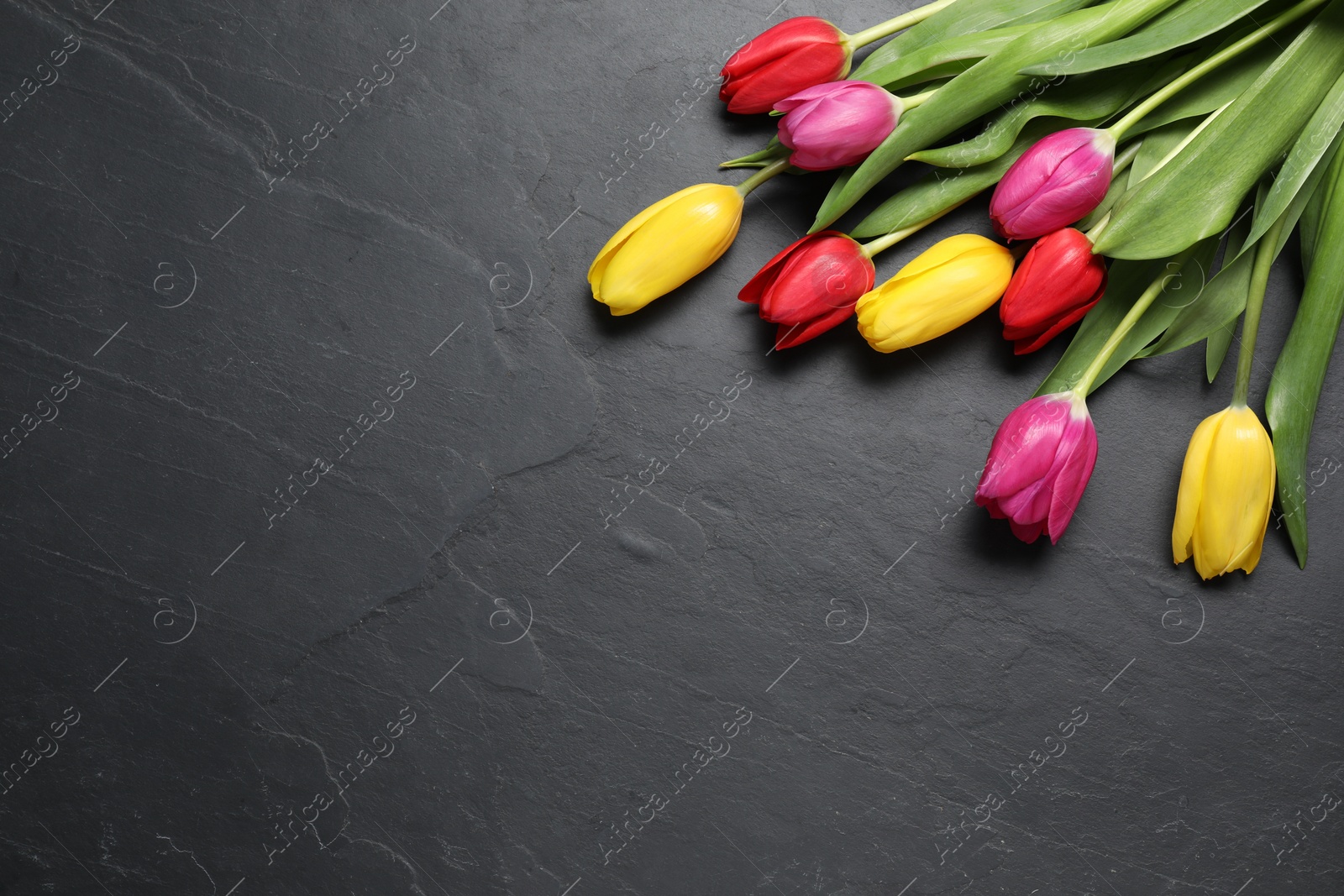 Photo of Beautiful colorful tulip flowers on black table, flat lay. Space for text