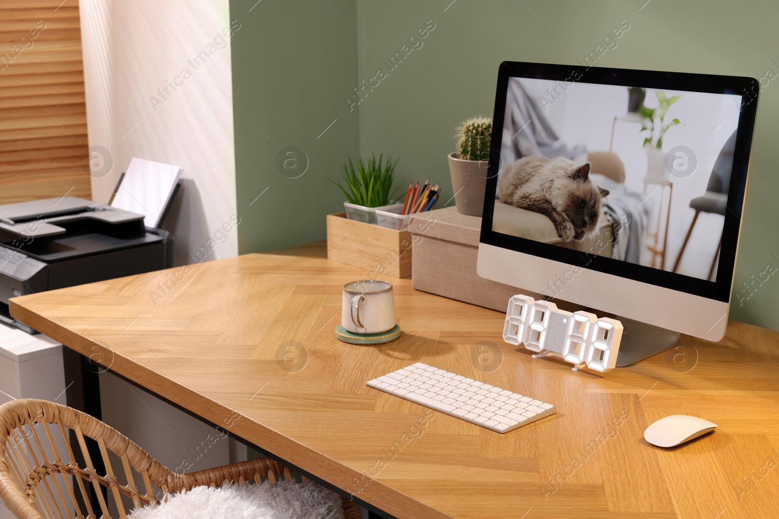 Photo of Stylish workplace with computer, cup and cactus near olive wall at home