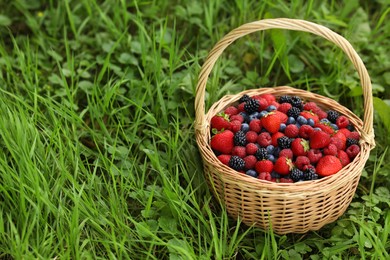 Wicker basket with different fresh ripe berries in green grass outdoors, space for text