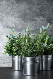 Photo of Different artificial potted herbs on black marble table