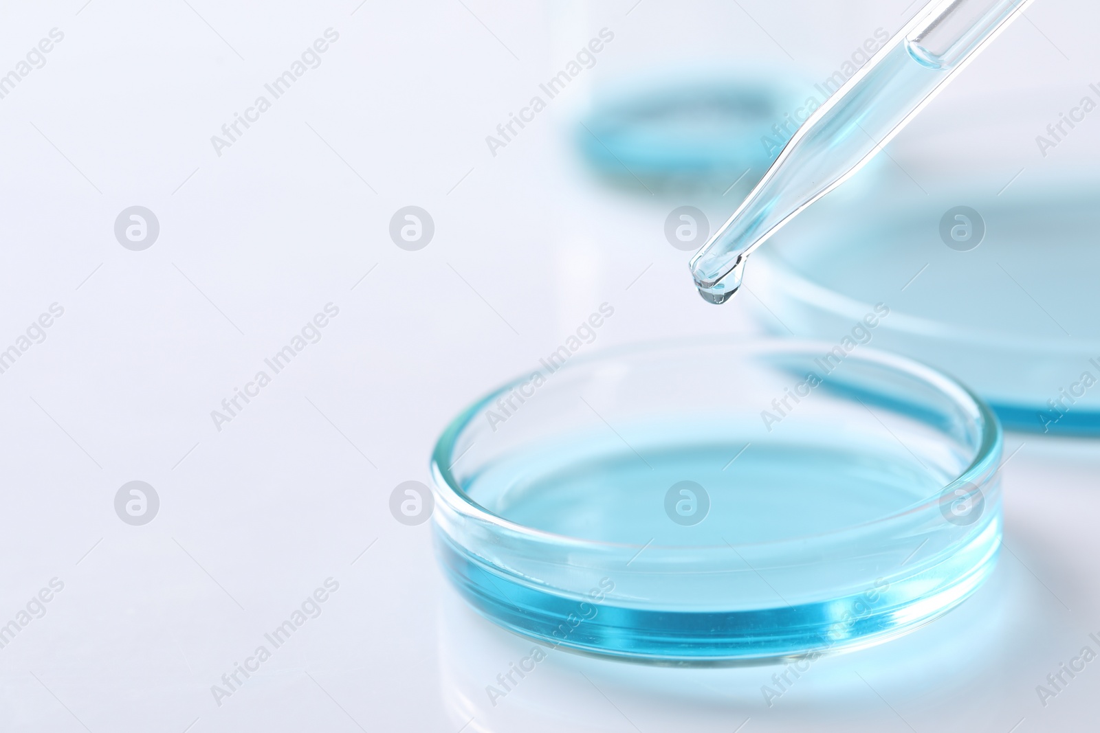 Photo of Dripping liquid from pipette into petri dish at white table, closeup. Space for text