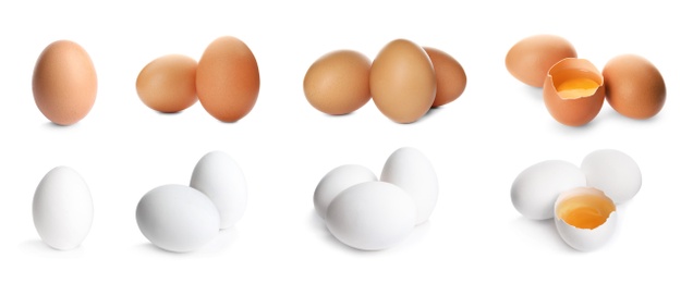 Image of Set of whole and broken eggs on white background, banner design 