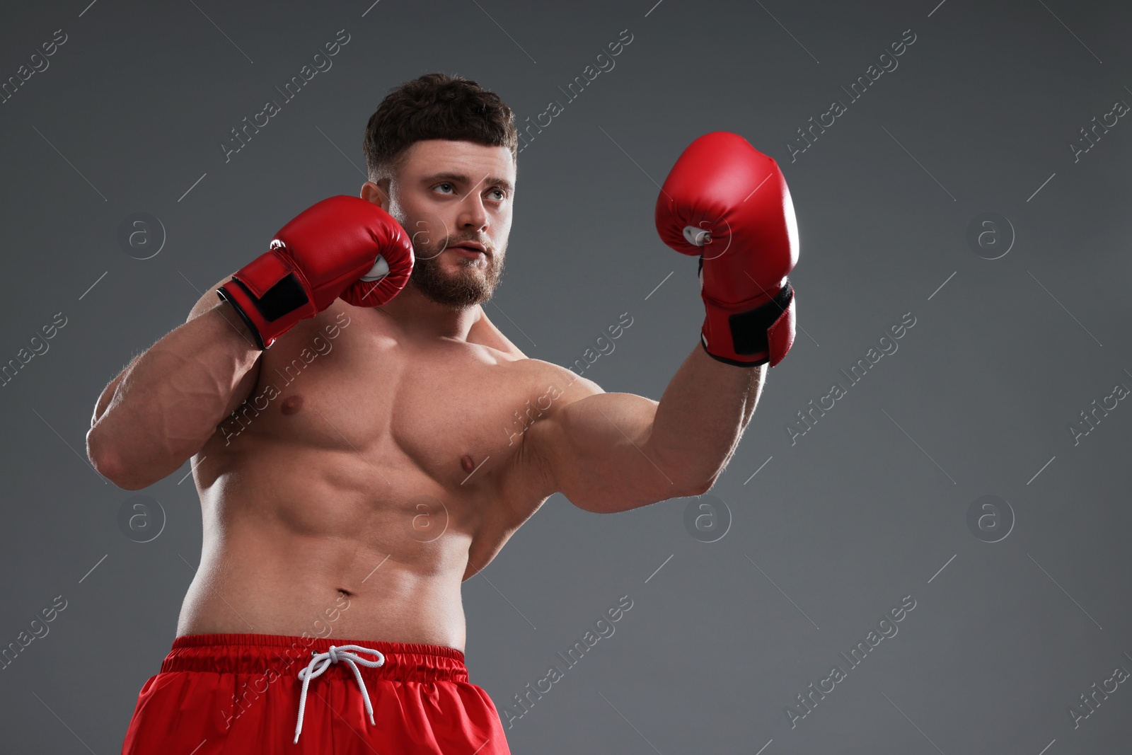 Photo of Man in boxing gloves fighting on grey background, low angle view. Space for text