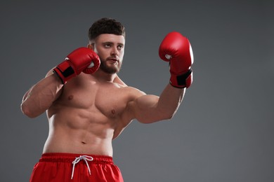 Man in boxing gloves fighting on grey background, low angle view. Space for text