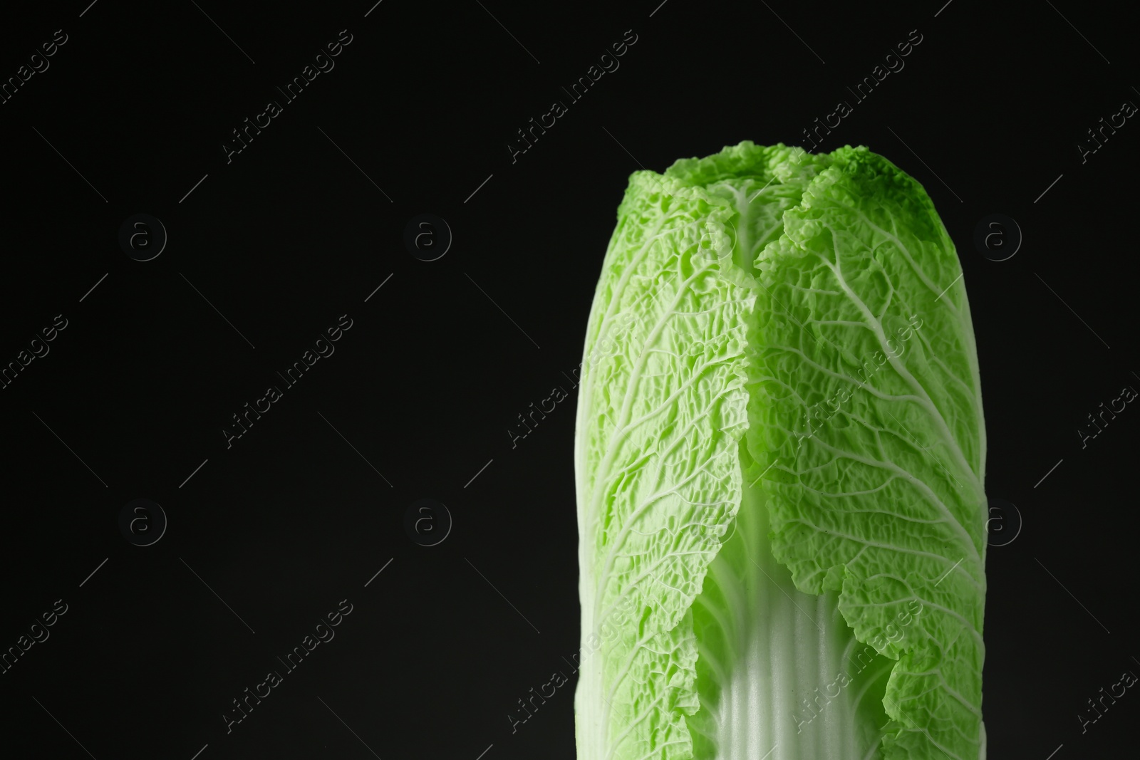 Photo of Fresh ripe Chinese cabbage on black background, space for text