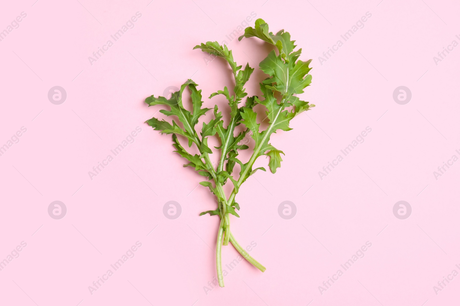 Photo of Fresh arugula on light pink background, flat lay