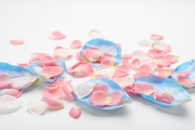 Pile of beautiful petals on white background