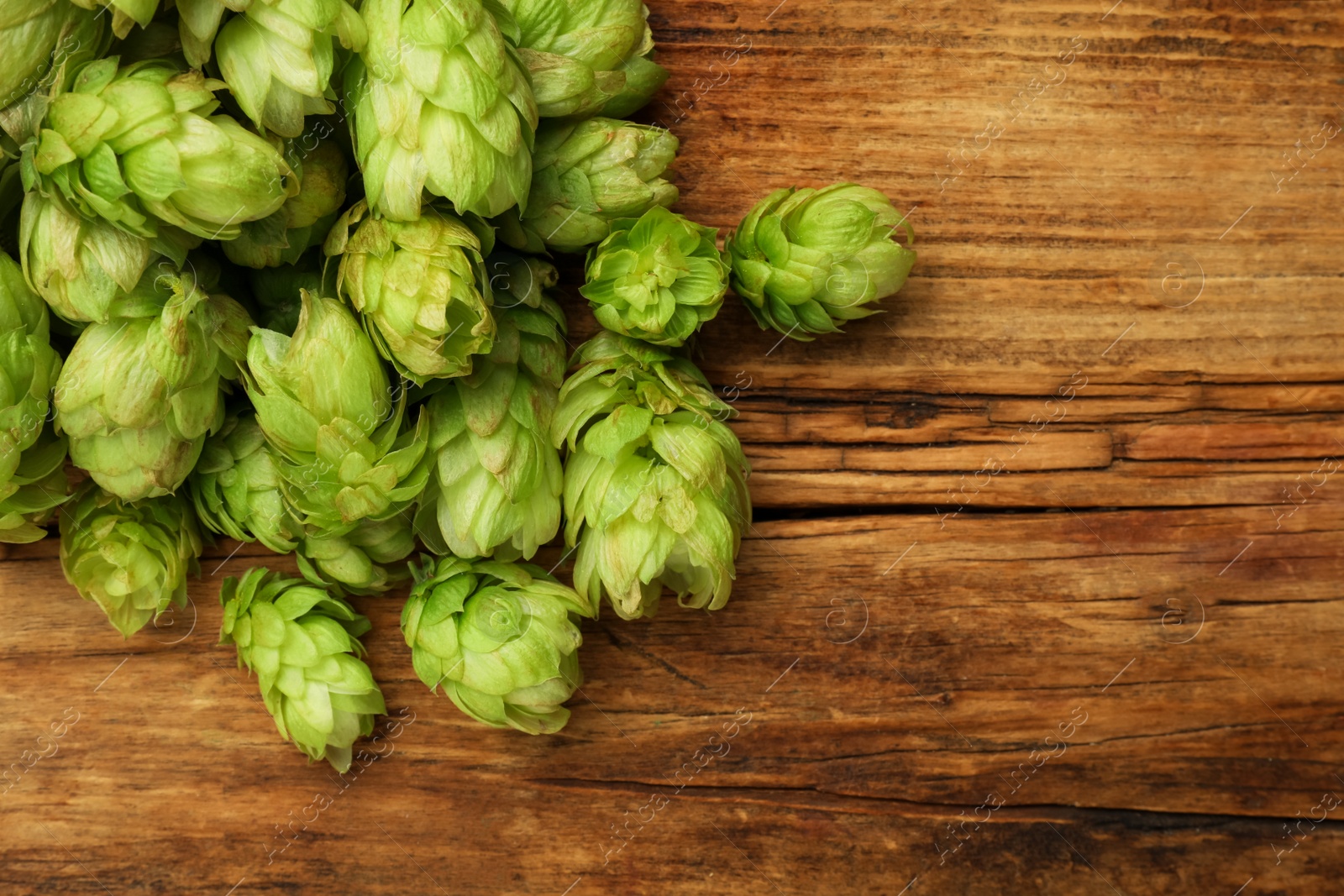 Photo of Heap of fresh green hops on wooden table, flat lay. Space for text