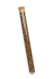 Glass tube with cumin seeds on white background, top view
