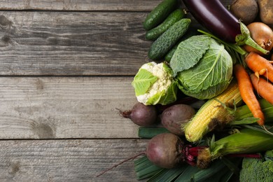 Photo of Different fresh ripe vegetables on wooden table, flat lay with space for text. Farmer produce