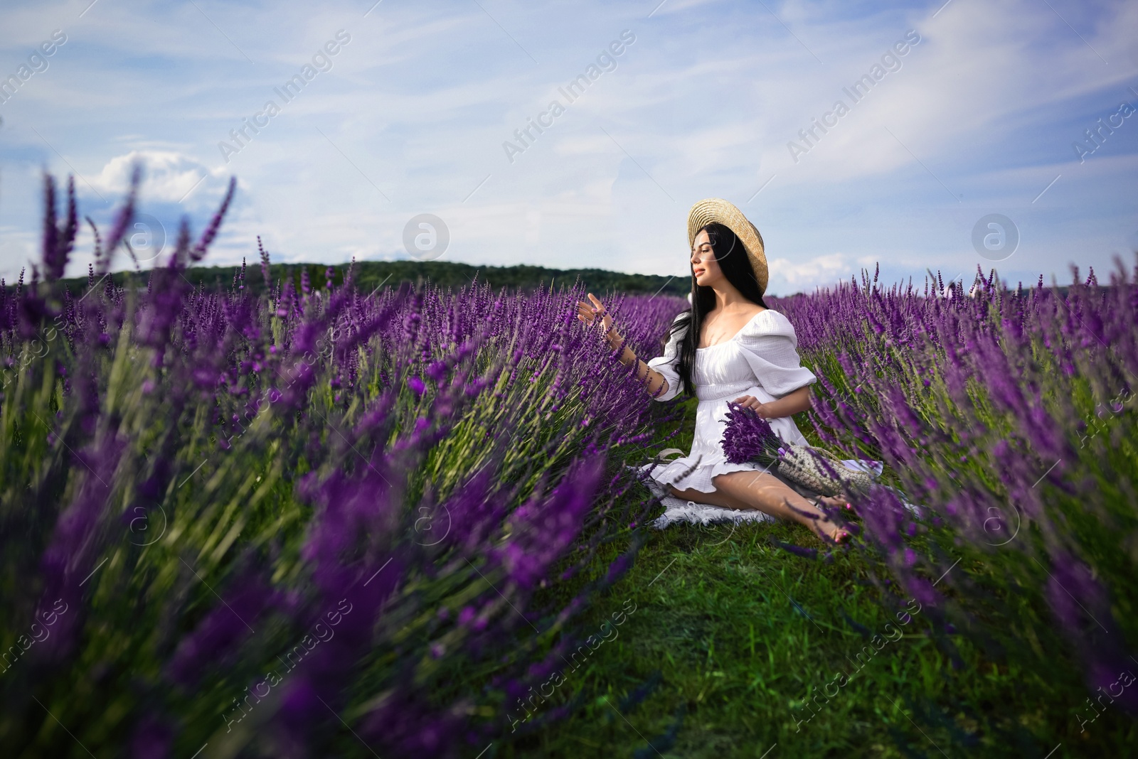 Photo of Beautiful young woman sitting in lavender field