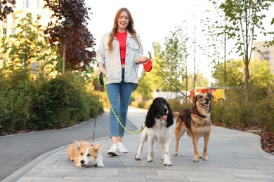 Photo of Young woman walking adorable dogs in park