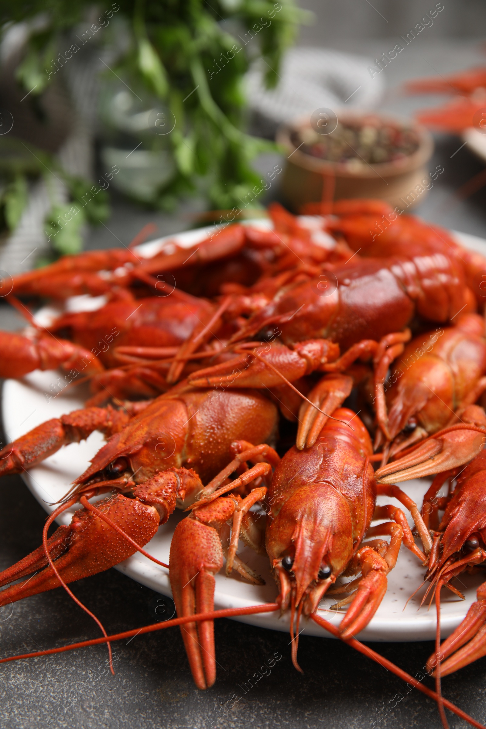 Photo of Delicious red boiled crayfishes on plate, closeup