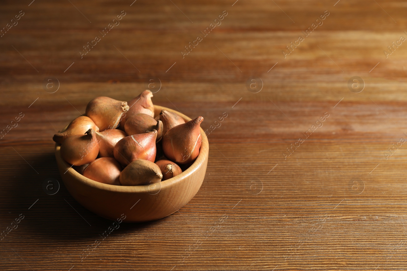 Photo of Tulip bulbs in bowl on wooden table. Space for text