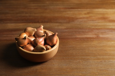 Photo of Tulip bulbs in bowl on wooden table. Space for text