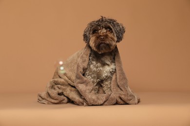 Photo of Cute dog with towel and bubbles on light brown background