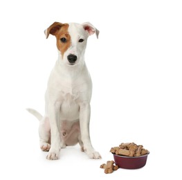 Image of Cute dog near feeding bowl full of tasty bone shaped cookies on white background