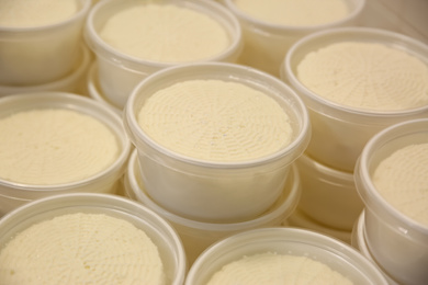 Moulds with pressed cheese at modern factory, closeup
